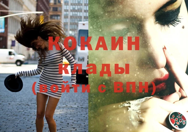 спиды Ельня