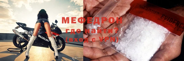 спиды Ельня