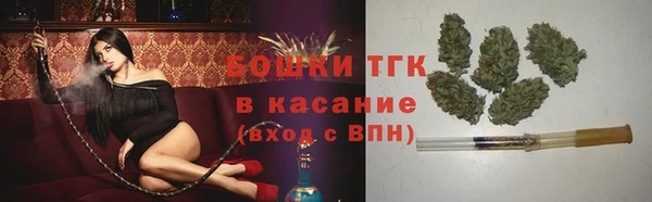 спиды Ельня