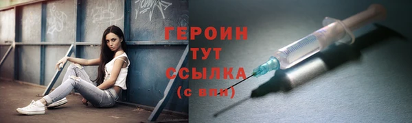 спиды Ельня