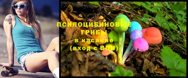 ГАЛЛЮЦИНОГЕННЫЕ ГРИБЫ Елизово