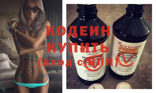 спиды Ельня
