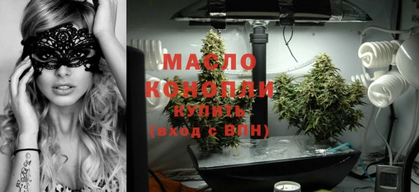 спиды Ельня