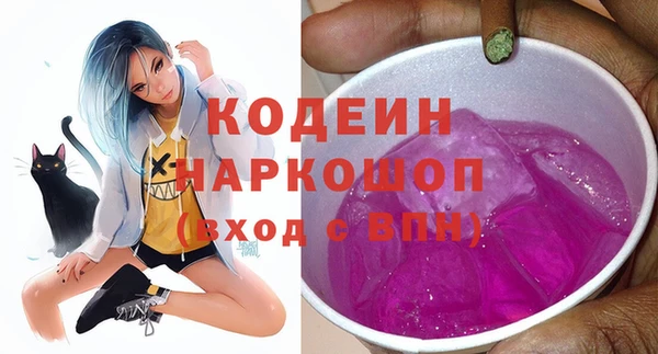 спиды Ельня