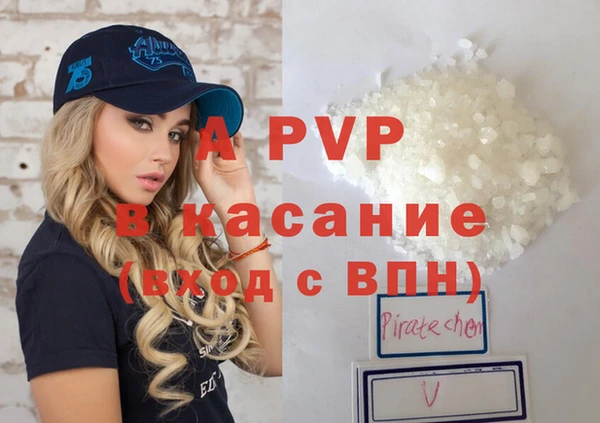 спиды Ельня