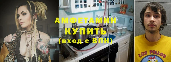 спиды Ельня