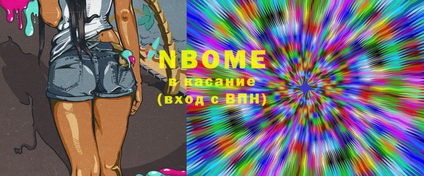 спиды Ельня