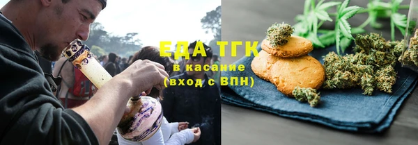 спиды Ельня