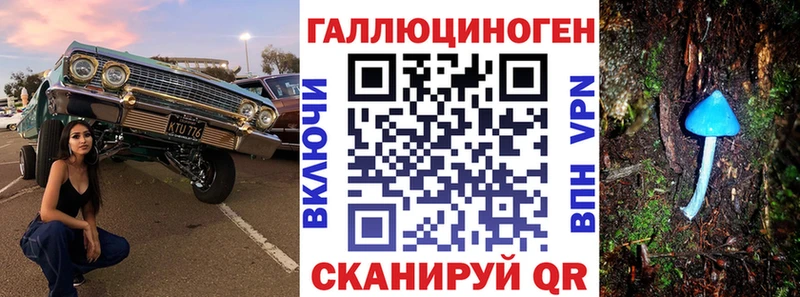 Купить где  Губкинский  Псилоцибиновые грибы мицелий 